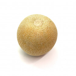 Melon galia (calibre moyen), Espagne