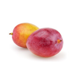 Mango IRVIN