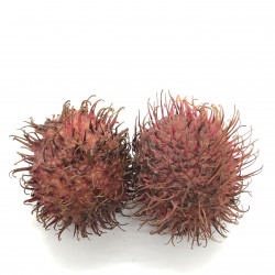 Rambután Chinensis