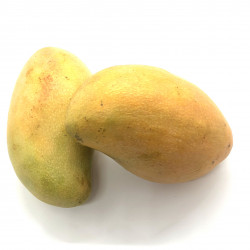 Mango Ataulfo